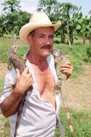 Martes 9 de agosta. Pobladores del municipio de Mazatan reproducen la especie de iguana verde para su aprovechamniento sustentable para apoyar la económia de las familias de la región dela costa chiapaneca.