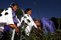 Lunes 22 de diciembre del 2014. San Pedro Chenalho. Al cumplirse 17 años de la masacre de 45 indÃgenas tsotsiles en la comunidad Acteal en la Zona Altos de Chiapas, estudiantes de ayotzinapa realizan una representación de los muertos por la represión soci Lunes 22 de diciembre del 2014. San Pedro Chenalho. Al cumplirse 17 años de la masacre de 45 indÃgenas tsotsiles en la comunidad Acteal en la Zona Altos de Chiapas, estudiantes de ayotzinapa realizan una representación de los muertos por la represión soci