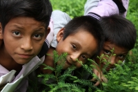 Martes 8 de julio del 2014. Villaflores. Día del árbol mexicano. Los niños del ejido El Portillo celebran este día el día del árbol en un recorrido por el vivero donde se reproduce y reforesta el rio Guaymas con árboles de Sabino o Ahuehuete, también cono