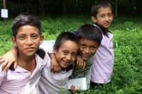 Martes 8 de julio del 2014. Villaflores. Día del árbol mexicano. Los niños del ejido El Portillo celebran este día el día del árbol en un recorrido por el vivero donde se reproduce y reforesta el rio Guaymas con árboles de Sabino o Ahuehuete, también cono
