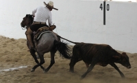 Octubre del 2016. Tuxtla Gutiérrez. El ambiente del trabajo campirano durante el Torneo Nacional Charro que se lleva a cabo en el foro Chiapas.