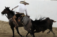 Octubre del 2016. Tuxtla Gutiérrez. El ambiente del trabajo campirano durante el Torneo Nacional Charro que se lleva a cabo en el foro Chiapas.