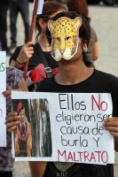 Domingo 7 de agosto del 2012. Tuxtla Gutiérrez, Chiapas. Familias tuxtlecas y de Chiapas se manifiestan en contra del maltrato animal en los circos que llegan a este estado del sureste de México. Domingo 7 de agosto del 2012. Tuxtla Gutiérrez, Chiapas. Familias tuxtlecas y de Chiapas se manifiestan en contra del maltrato animal en los circos que llegan a este estado del sureste de México.