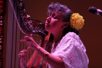 Martes 18 de agosto del 2015. Tuxtla Gutiérrez. La concertista Cristina Cabrera durante el concierto didáctico previo al Encuentro de Arpas Indígenas y Afroamericanas que organiza la Comisión Nacional para el Desarrollo de los Pueblos Indígenas y la Unive