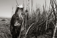 La Zafra. Las condiciones laborales de los campesinos que trabajan en la siembra y corte de la Caña de Azúcar en el ingenio San Francisco Pujiltc continúan siendo las mismas después de varias decenas de años. Migrantes, Indígenas y Niños son contratados e