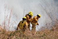Viernes 27 de diciembre del 2013. Bomberos de la SSyCP durante las actividades de control de un incendio de un pastizal en las cercanías del Libramiento Norte y Calzada al Sumidero