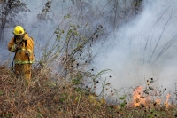Viernes 27 de diciembre del 2013. Bomberos de la SSyCP durante las actividades de control de un incendio de un pastizal en las cercanías del Libramiento Norte y Calzada al Sumidero
