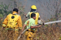 Viernes 27 de diciembre del 2013. Bomberos de la SSyCP durante las actividades de control de un incendio de un pastizal en las cercanías del Libramiento Norte y Calzada al Sumidero
