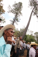 Indígenas de las comunidades de Teopisca en la zona altos de Chiapas, trabajan en la segunda etapa del manejo sustentable de sus bosques aprovechando la madera y reforestando los terrenos ejidales de esta comunidad. Después de 10 años de trabajos, los eji