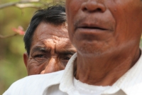 Indígenas de las comunidades de Teopisca en la zona altos de Chiapas, trabajan en la segunda etapa del manejo sustentable de sus bosques aprovechando la madera y reforestando los terrenos ejidales de esta comunidad. Después de 10 años de trabajos, los eji