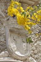 Lunes 2 de marzo  del 2015. Tuxtla Gutiérrez. Ocultos entre la ramas de un primaveral árbol, los caballos que adornan el escudo del estado de Chiapas observan impávidos las calles de un Tuxtla olvidado.