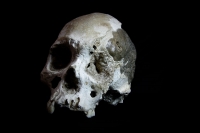Jueves 23 de septiembre. Una calavera humana de más de 7.000 años de antigüedad fue encontrada en las cuevas de la comunidad de Ocosocuautla y posteriormente entregada a los investigadores del Museo de Antropología del INAH en Chiapas. Estos restos son es