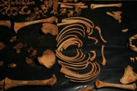 Viernes 18 de febrero. El Profesor Javier  Montes de Paz estudia y clasifica los vestigios antropológicos de varios niños momificados de unos 1,000 años de antigüedad encontrados en una cueva aproximadamente a 70 kilómetros de Tuxtla Gutiérrez, Chiapas. E