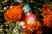 Martes 28 de octubre del 2014. Tuxtla Gutiérrez. Las flores de Cempasuchil y Nubes acompañan las Calaveritas de Azúcar en los mercados públicos de la capital del estado de Chiapas en los días previos a los festejos de los Santos Difuntos.