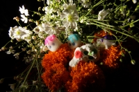 Martes 28 de octubre del 2014. Tuxtla Gutiérrez. Las flores de Cempasuchil y Nubes acompañan las Calaveritas de Azúcar en los mercados públicos de la capital del estado de Chiapas en los días previos a los festejos de los Santos Difuntos.