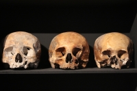 Martes 29 de octubre del 2013. Tuxtla Gutiérrez. Tzompantlis y Cuevas: Refugio de los Muertos es la exposición que  presenta el INAH en la sala de exposiciones temporales del Museo Regional de Chiapas.