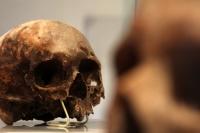 Martes 29 de octubre del 2013. Tuxtla Gutiérrez. Tzompantlis y Cuevas: Refugio de los Muertos es la exposición que  presenta el INAH en la sala de exposiciones temporales del Museo Regional de Chiapas.