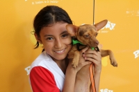 Sábado 5 de agosto del 2017. Tuxtla Gutiérrez. Esta tarde se lleva a cabo la carrera de mascotas Canrrera 2017 que asociaciones civiles organizan en la Avenida Central de esta ciudad.