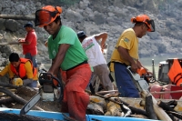 Miércoles 2 de octubre del 2013. Chiapa de Corzo. Las labores de las brigadas de limpieza del Cañón del Sumidero continúan recogiendo tripio, pet y restos de madera que los municipios aledaños depositan en los afluentes del Grijalva.