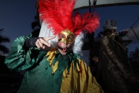 Domingo 4 de marzo del 2012. Desfile del Carnaval Tuxtleco.