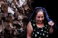 Viernes 8 de diciembre del 2017. Tuxtla Gutiérrez. La Siembra de la Casita Zoque. Los miembros de la comunidad indí­gena zoque construyen una estructura de hoja de plátano donde colocan semillas dentro del ritual premonitorio del ciclo agrí­cola del añ