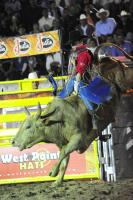 Los vaqueros del espectáculo de rodeo Cuernos Chuecos se juegan la vida montando toros de más de 600 kilos durante la función de este sábado en la plaza de toros de San roque en esta ciudad.