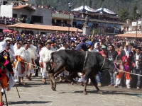 Miércoles 10 de febrero del 2016. San Juan Chamula. La ceremonia del Kinta Jimultik o Fuego Nuevo es la celebración que los indígenas tsotsiles realizan al inicio de la cuaresma donde los rituales costumbristas asombran a los visitantes de esta localidad 