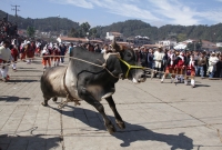 Miércoles 10 de febrero del 2016. San Juan Chamula. La ceremonia del Kinta Jimultik o Fuego Nuevo es la celebración que los indígenas tsotsiles realizan al inicio de la cuaresma donde los rituales costumbristas asombran a los visitantes de esta localidad 
