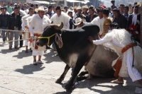 Miércoles 10 de febrero del 2016. San Juan Chamula. La ceremonia del Kinta Jimultik o Fuego Nuevo es la celebración que los indígenas tsotsiles realizan al inicio de la cuaresma donde los rituales costumbristas asombran a los visitantes de esta localidad 
