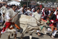 Miércoles 10 de febrero del 2016. San Juan Chamula. La ceremonia del Kinta Jimultik o Fuego Nuevo es la celebración que los indígenas tsotsiles realizan al inicio de la cuaresma donde los rituales costumbristas asombran a los visitantes de esta localidad 