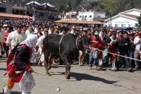 Miércoles 10 de febrero del 2016. San Juan Chamula. La ceremonia del Kinta Jimultik o Fuego Nuevo es la celebración que los indígenas tsotsiles realizan al inicio de la cuaresma donde los rituales costumbristas asombran a los visitantes de esta localidad 