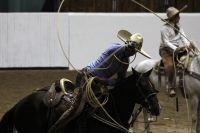 Lunes 17 de octubre del 2016. Tuxtla Gutiérrez. Antes de la inauguración del Foro Chiapas continúan las prácticas de los charros que participaran en el Torneo Nacional de Charrería mientras los trabajadores realizan las últimas soldaduras a la estructura 