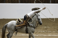Lunes 17 de octubre del 2016. Tuxtla Gutiérrez. Antes de la inauguración del Foro Chiapas continúan las prácticas de los charros que participaran en el Torneo Nacional de CharrerÃa mientras los trabajadores realizan las últimas soldaduras a la estructura Lunes 17 de octubre del 2016. Tuxtla Gutiérrez. Antes de la inauguración del Foro Chiapas continúan las prácticas de los charros que participaran en el Torneo Nacional de CharrerÃa mientras los trabajadores realizan las últimas soldaduras a la estructura