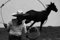 Lunes 17 de octubre del 2016. Tuxtla Gutiérrez. Antes de la inauguración del Foro Chiapas continúan las prácticas de los charros que participaran en el Torneo Nacional de Charrería mientras los trabajadores realizan las últimas soldaduras a la estructura 