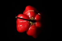 Miércoles 30 de marzo del 2016. Tuxtla Gutiérrez. Como entender la comida chiapaneca sin la variedad de sabores que el chile le otorga