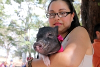 Domingo 5 de marzo del 2017. Tuxtla Gutiérrez. Grupos de voluntarios para el rescate de perros callejeros organizan el primer Parque de Mascotas en el oriente de la capital del estado de Chiapas.