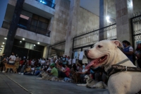 20210418. Tuxtla G. Durante la protesta para exigir respeto a las mascotas en Chiapas.