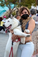 20210418. Tuxtla G. Durante la protesta para exigir respeto a las mascotas en Chiapas.