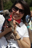 Domingo 28 de septiembre del 2014. San Cristóbal de las Casas. El conjunto de organizaciones civiles, de animales y deportistas se juntaron este fin de semana en el SEDEM para realizar el Perrotón 2014.
