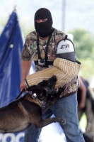 Domingo 28 de septiembre del 2014. San Cristóbal de las Casas. El conjunto de organizaciones civiles, de animales y deportistas se juntaron este fin de semana en el SEDEM para realizar el Perrotón 2014.