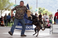 Domingo 28 de septiembre del 2014. San Cristóbal de las Casas. El conjunto de organizaciones civiles, de animales y deportistas se juntaron este fin de semana en el SEDEM para realizar el Perrotón 2014.