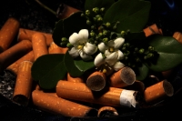 Lunes 30 de mayo del 2016. Tuxtla Gutiérrez. Cada 31 de mayo la Organización Mundial de la Salud conmemora el Día Internacional sin Tabaco