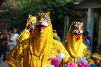 Martes 24 de mayo del 2016. Suchiapa. La Danza del Calalá es representada por los jóvenes de la comunidad quienes recorren las ermitas gritando y acompañando  las ofrendas en las fiestas patronales del Corpus Christi.