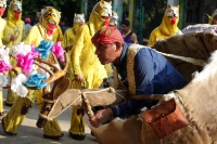 Martes 24 de mayo del 2016. Suchiapa. La Danza del Calalá es representada por los jóvenes de la comunidad quienes recorren las ermitas gritando y acompañando  las ofrendas en las fiestas patronales del Corpus Christi.