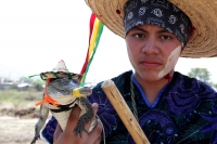 Martes 24 de mayo del 2016. Suchiapa. La Danza del Calalá es representada por los jóvenes de la comunidad quienes recorren las ermitas gritando y acompañando  las ofrendas en las fiestas patronales del Corpus Christi.