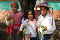 Martes 24 de mayo del 2016. Suchiapa. La Danza del Calalá es representada por los jóvenes de la comunidad quienes recorren las ermitas gritando y acompañando  las ofrendas en las fiestas patronales del Corpus Christi.