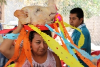 Jueves 2 de marzo del 2017. Ocosocuautla de Espinosa. El carnaval Zoque coiteco termina este día cuando los caporales entregan una cabeza de cerdo en el cohuina donde se realiza el baile de agradecimiento por el servicio prestado durante los días de feste