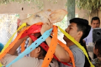 Jueves 2 de marzo del 2017. Ocosocuautla de Espinosa. El carnaval Zoque coiteco termina este día cuando los caporales entregan una cabeza de cerdo en el cohuina donde se realiza el baile de agradecimiento por el servicio prestado durante los días de feste