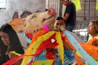 Jueves 2 de marzo del 2017. Ocosocuautla de Espinosa. El carnaval Zoque coiteco termina este día cuando los caporales entregan una cabeza de cerdo en el cohuina donde se realiza el baile de agradecimiento por el servicio prestado durante los días de feste