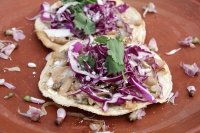 Viernes 26 de febrero del 2016. Tuxtla Gutiérrez. La Flor de Cuchunuc. La hermosa y pequeña flor conocida por los indígenas zoques como cuchunuc es utilizada para la elaboración de una gran variedad de alimentos típicos y gourmet en la depresión central d
